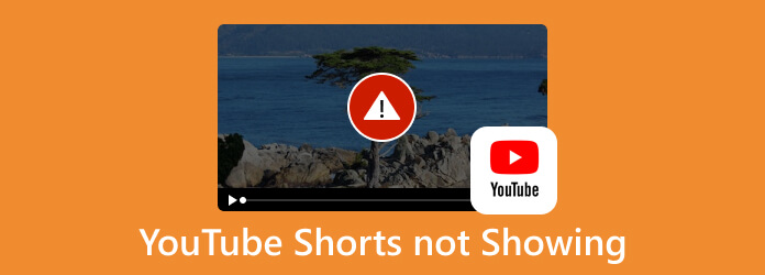 YouTube Shorts Not Showing