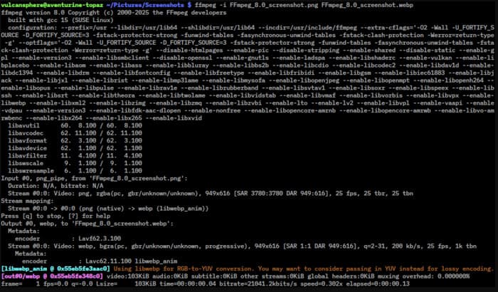 FFmpeg Interface