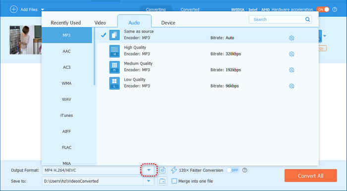 Choose An Output Audio Format