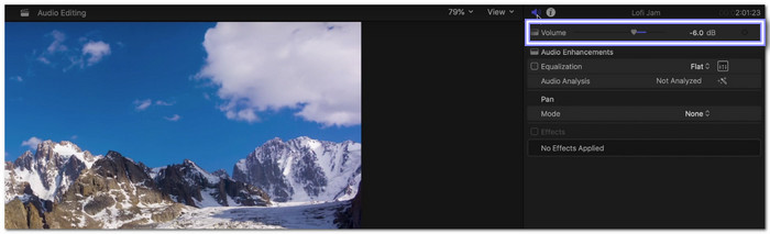 Adjust the Volume in the Inspector