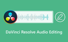 DaVinci Resolve Audio Editing