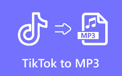 Tiktok to MP3