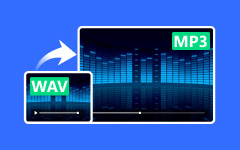 WAV til MP3