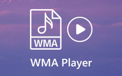 Reproductor WMA