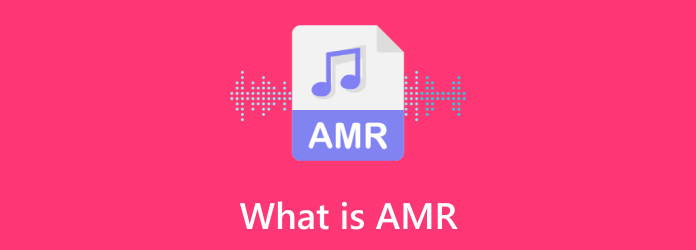 Mikä on AMR