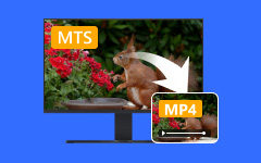 MTS إلى MP4