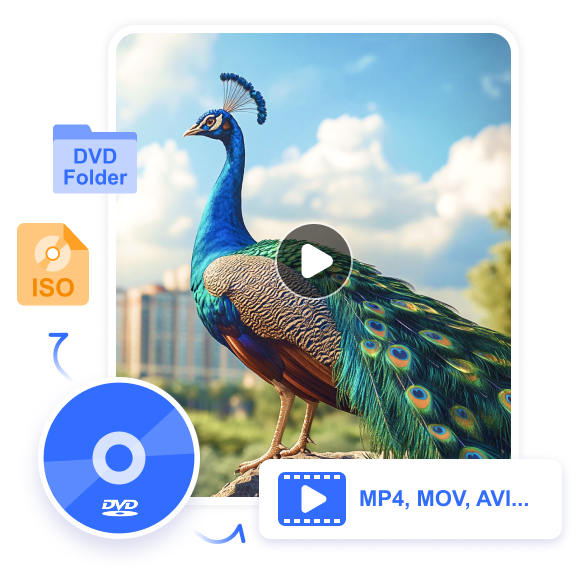 Rip DVD