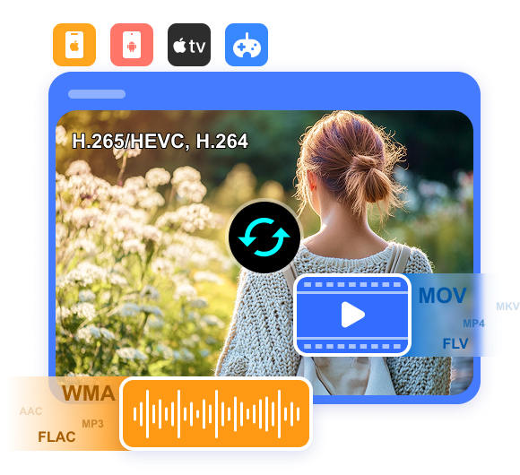 Video Converter