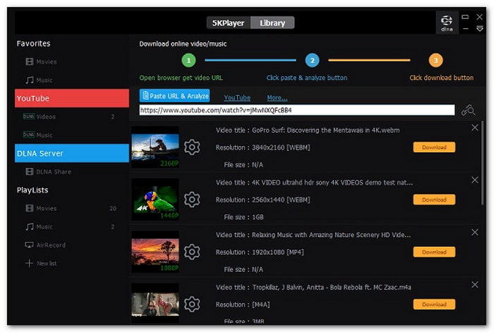 5KPlayer Software