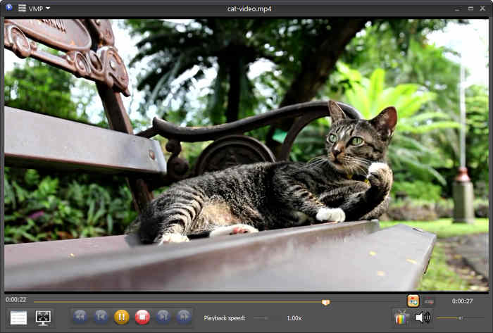 VSO Media Player