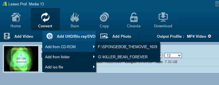 Leaw Blu Ray Ripper Supported Input Formats