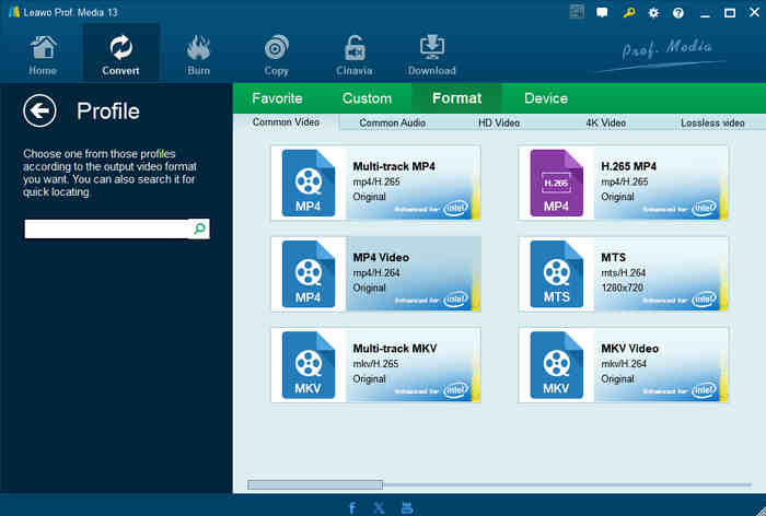 Supported Output Format In Leawo Blu Ray Ripper