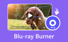 Blu ray Burner