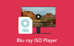 Blu-ray ISO Player