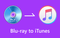 Stream DVD to TV Chromecast