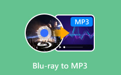 Blu Ray til MP3