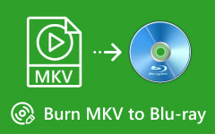 Burn MKV File to Blu-ray