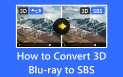 3D ブルーレイを SBS に変換