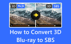 Převeďte 3D Blu-ray na SBS