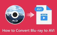Converteer Blu-ray naar AVI
