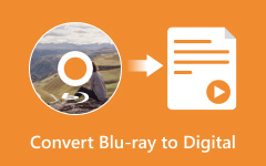 Convertir Blu-ray a Digital