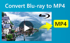 Convertir Blu-Ray a MP4