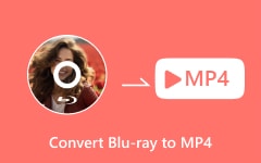 Blu-rayをMP4に変換する