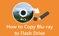 Kopieer Blu-ray naar Flash Drive
