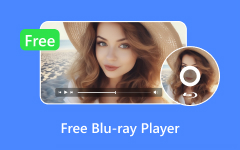Free Blu-ray Player