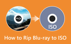 How To Rip Blu Ray To Iso