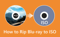 ブルーレイをISOにリッピングする方法