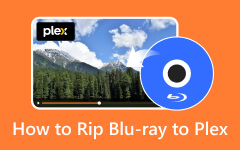Hoe Blu-ray t Plex te rippen