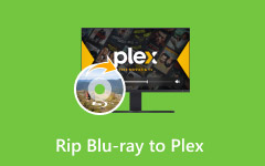 Blu-ray'i Plex'e Kopyalama