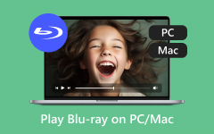 Riproduci Blu-ray su PC / Mac