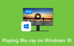 Play Blu-ray on Windows 10
