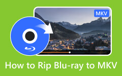 Rip Blu-ray to MKV