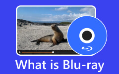 What is Blu-ray
