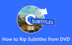 Cómo copiar subtítulos de DVD