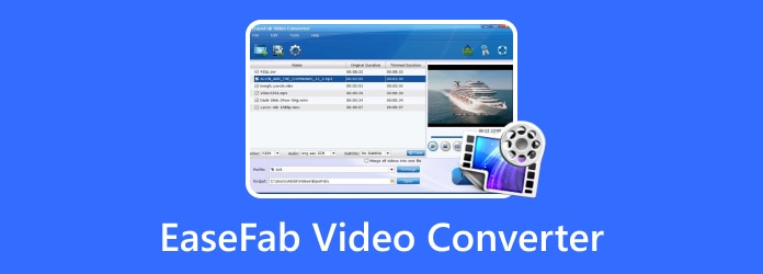 EaseFab Video Converter