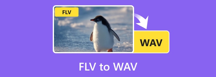 FLV to WAV