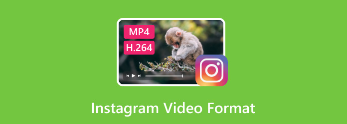 Instagram videoformat