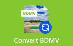 Convertir BDMV