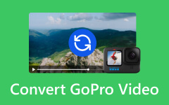 Convertir une vidéo GoPro