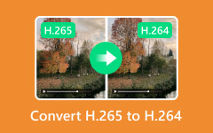 Convert MKV to AVI