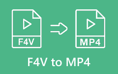 F4V a MP4