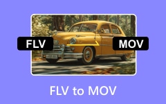 FLV to MOV