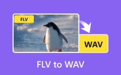 FLV to WAV