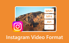 Formato de video de Instagram