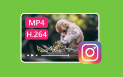 Instagram videoformat