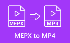 MEPX a MP4